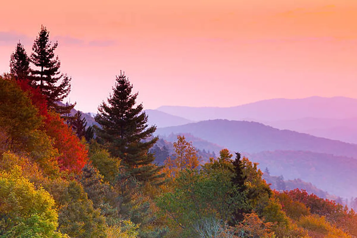 A peaceful sunset over vibrant mountain foliage paints the sky with warm hues, creating a serene and memorable moment in the Smokies.