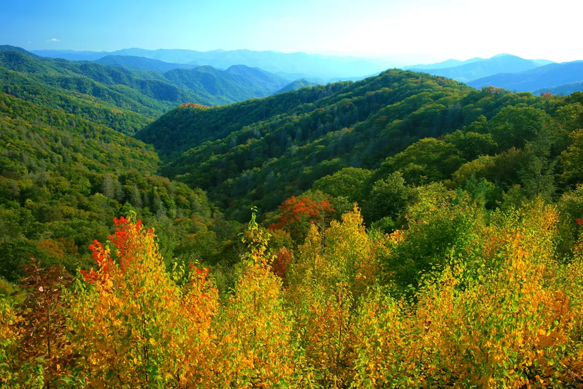 Rolling green hills blend into vibrant autumn foliage, with a sweeping view of a distant mountain range. The scene is tranquil yet invigorating, inviting visitors to enjoy the changing seasons and panoramic vistas.