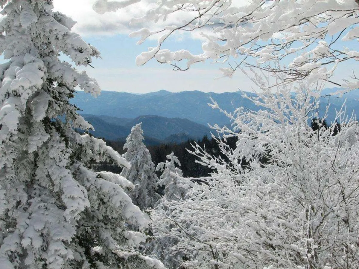 A majestic winter landscape featuring snow-covered trees, distant Smoky Mountain peaks, and a clear blue sky. The scene evokes the serenity and exhilaration of exploring the outdoors during colder months.