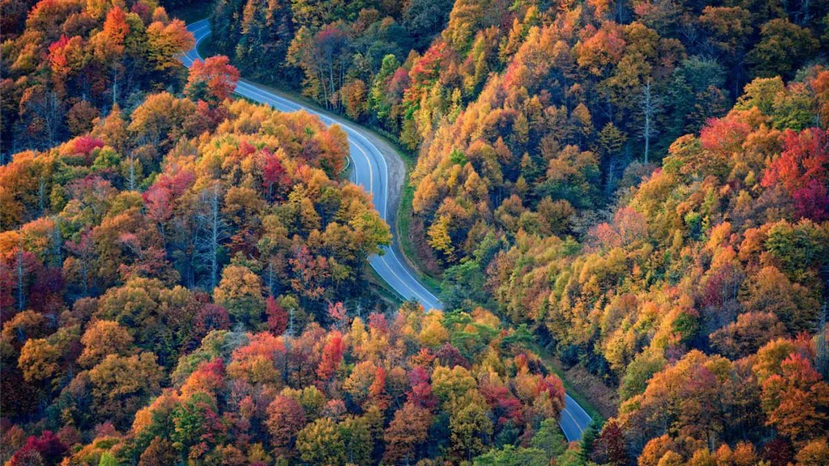 A gently curving mountain road winds through hills adorned with vibrant autumn foliage, offering a picturesque view of the Smokies in the background. The serene landscape invites scenic drives and leisurely exploration, capturing the area's natural beauty and sense of escape.